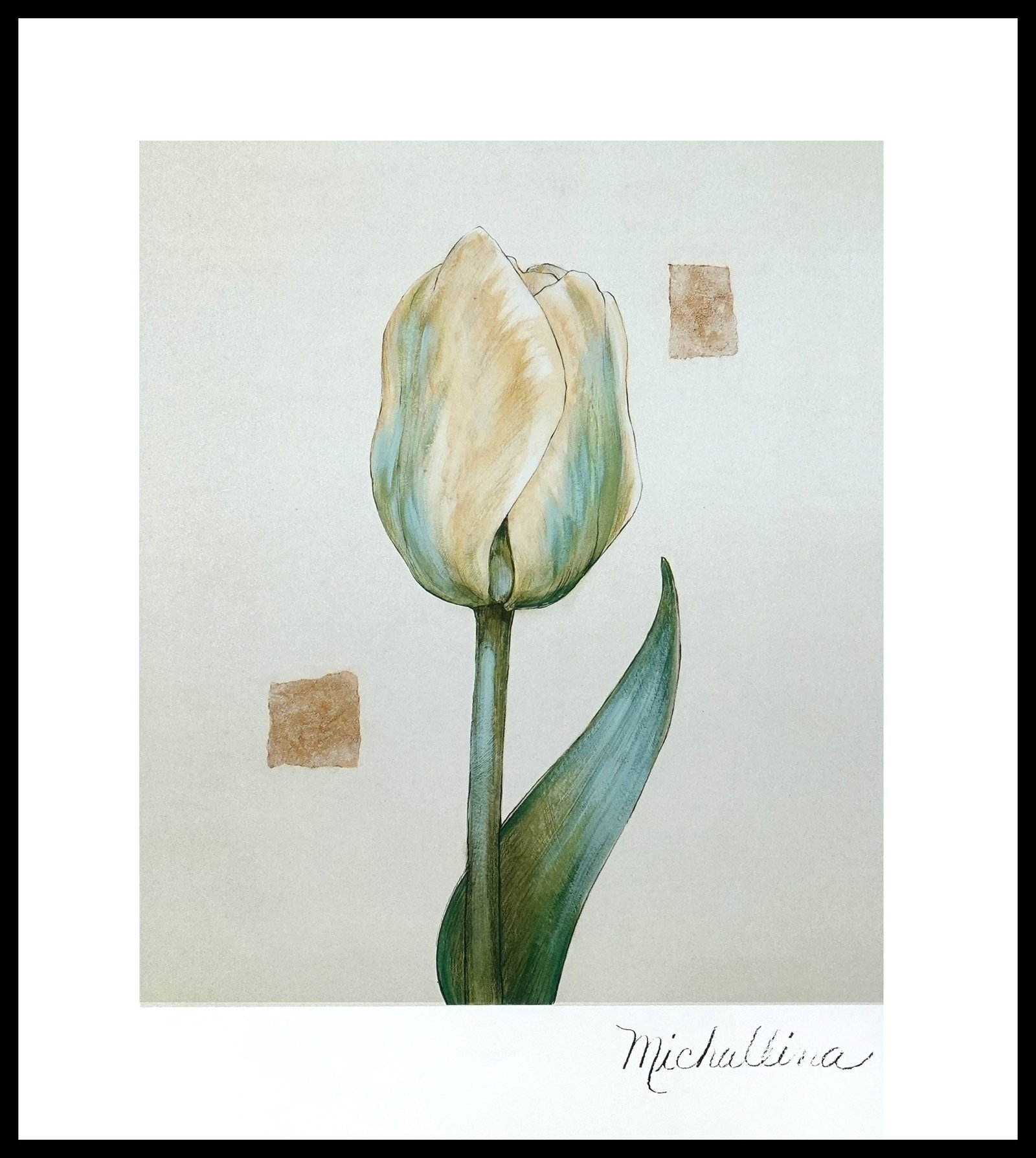 DNA MJP204 Tulip I